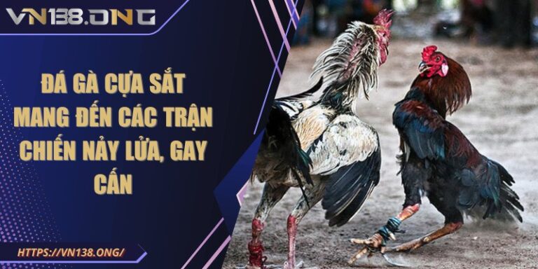 Đá gà cựa sắt mang đến các trận chiến nảy lửa, gay cấn 1 da ga cua sat